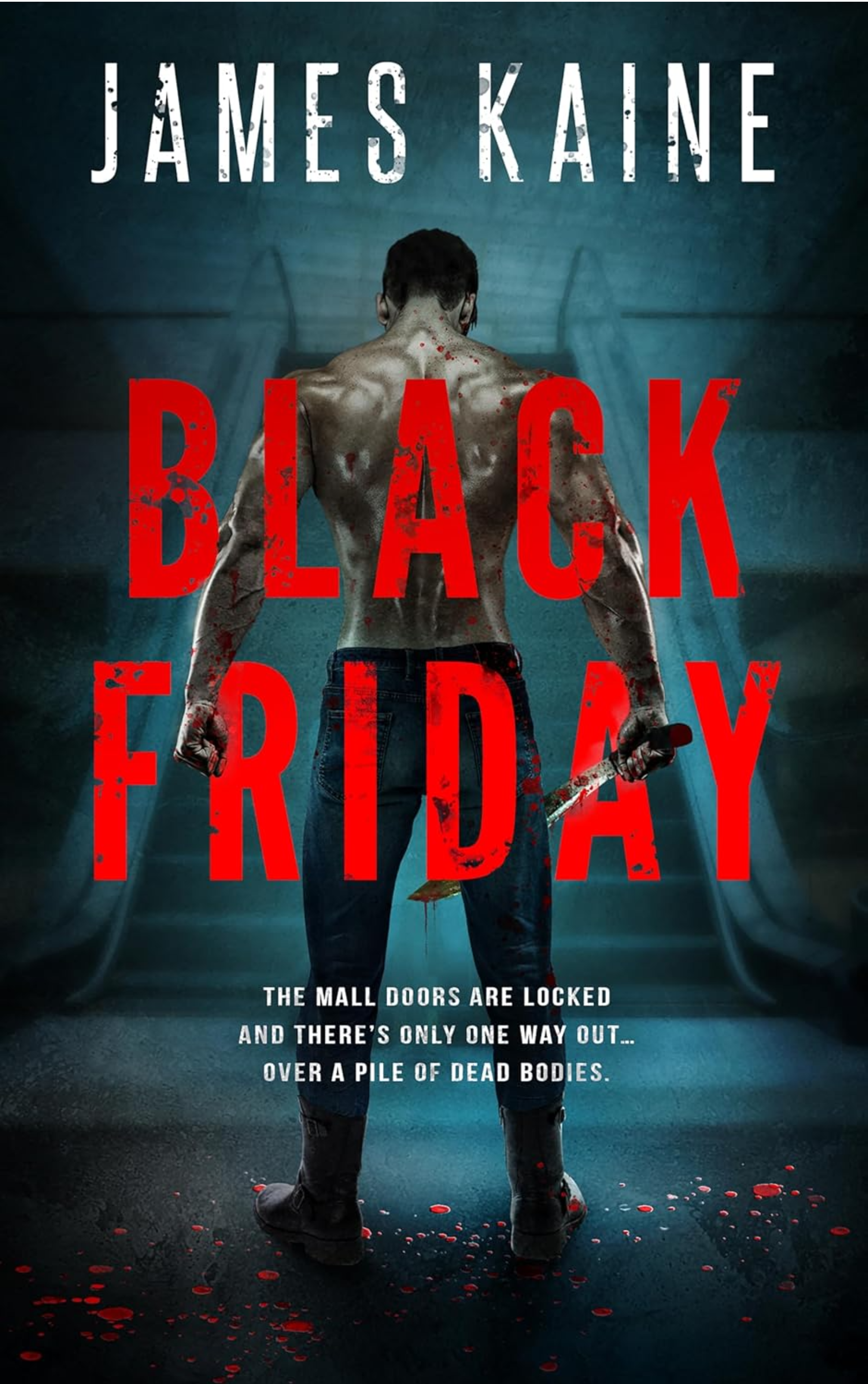 Black Friday Cover