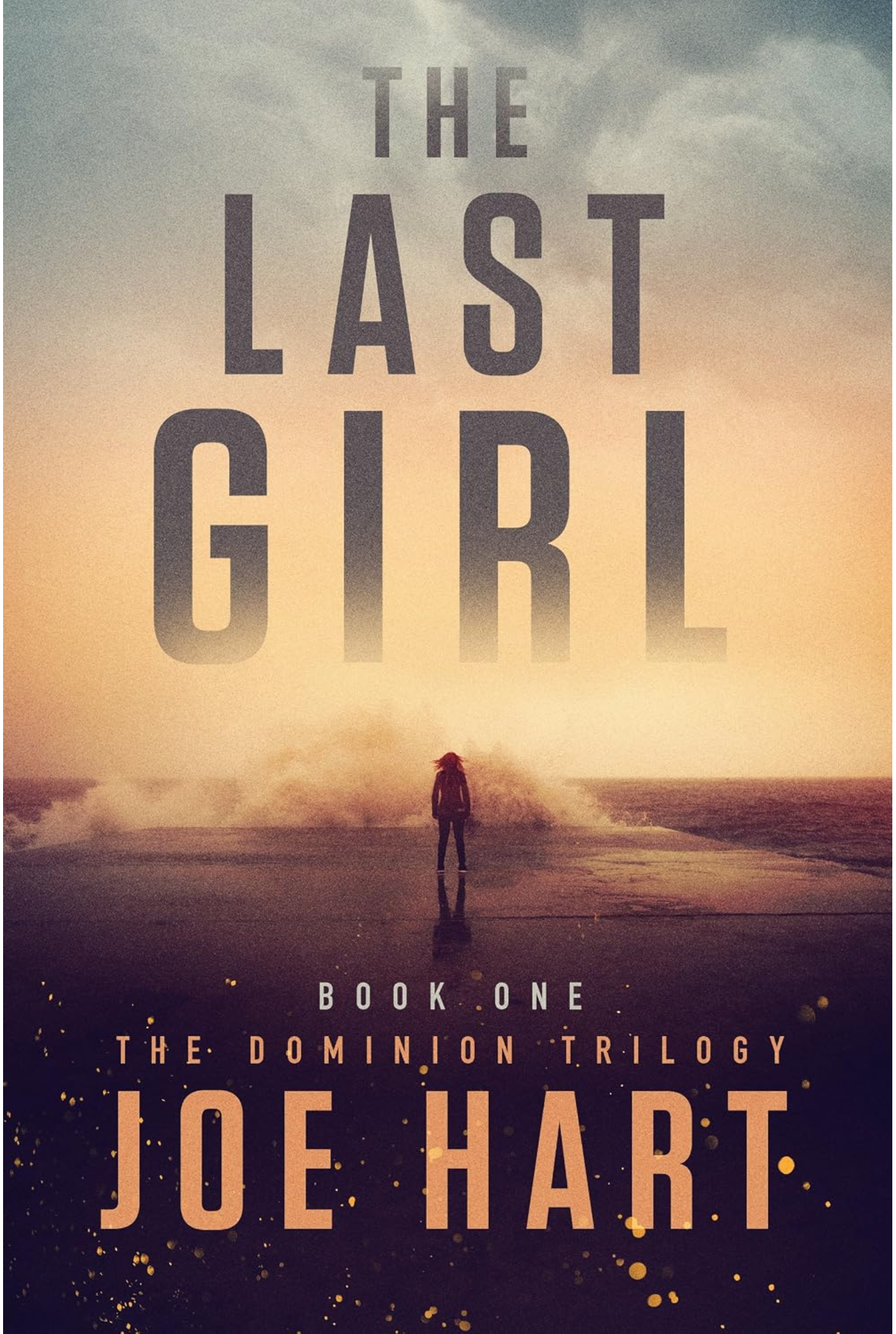 The Last Girl Cover